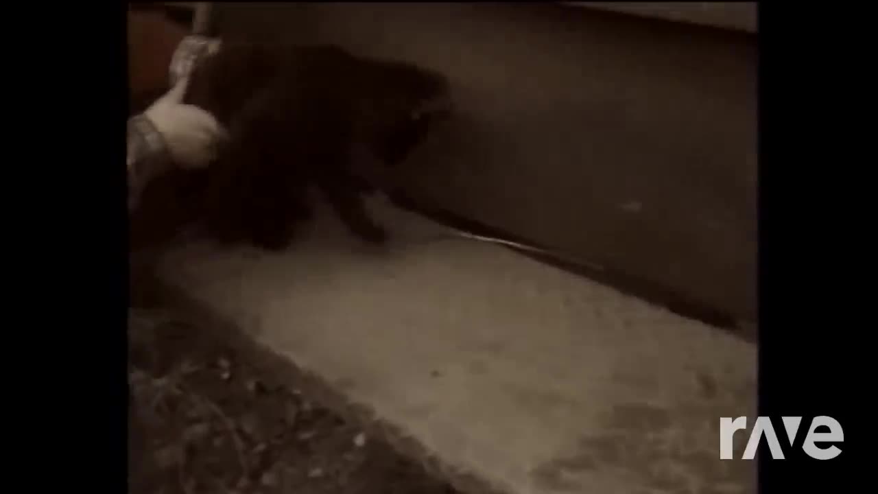 Urban Trap Mixtape - RaveDJ