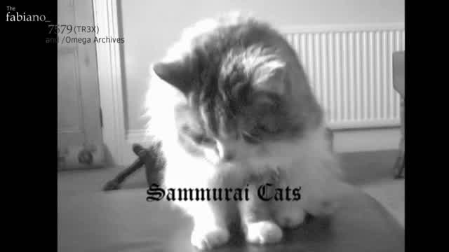 Samurai Cats (2012)