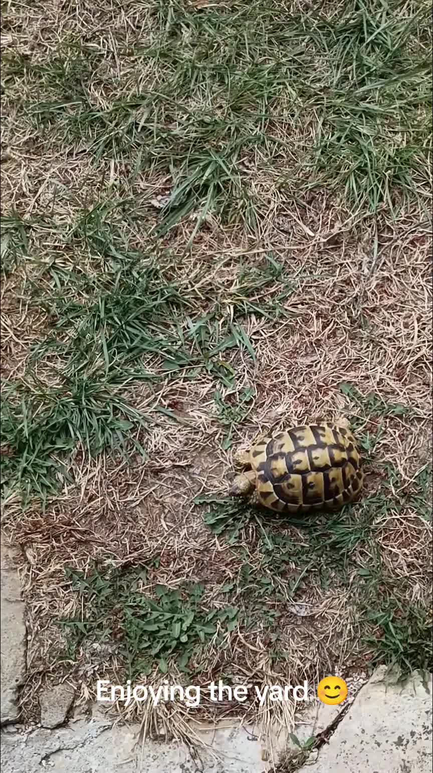 Enjoying the weather