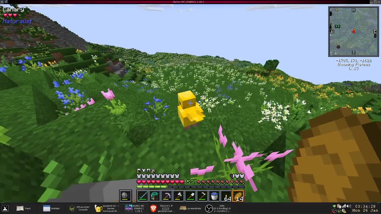 Minecraft - Canary