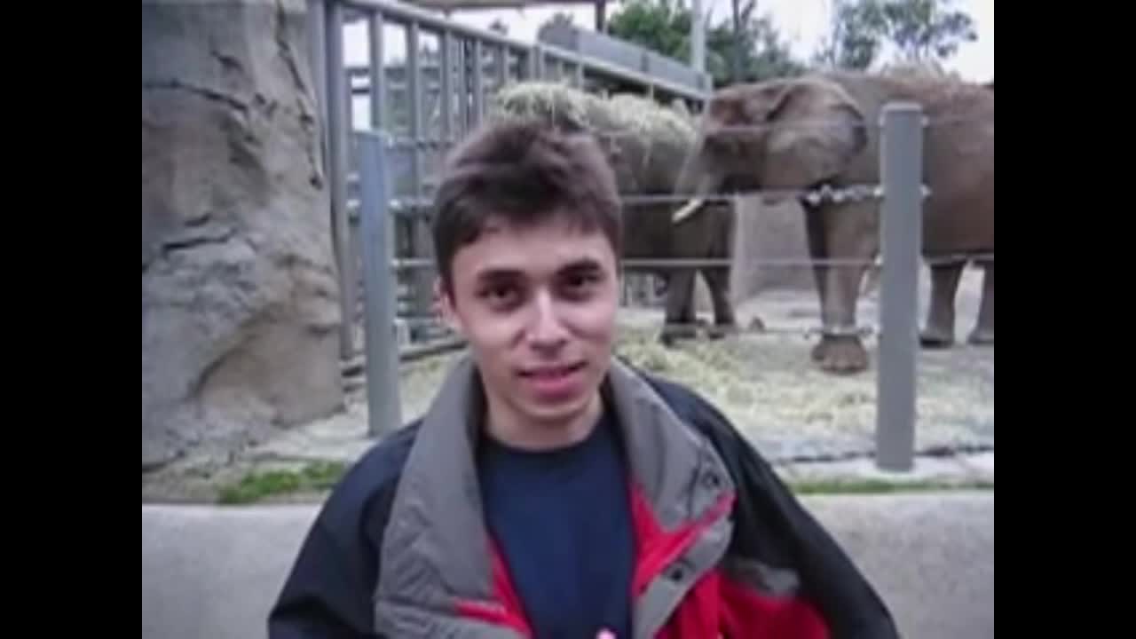 Sony vegas pro video test