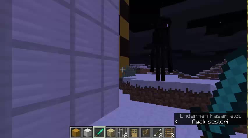Enderman'e söven gençin dramı Enderman'e söven gençin dramı