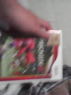 I bought pikmin 2 4 the Wii!