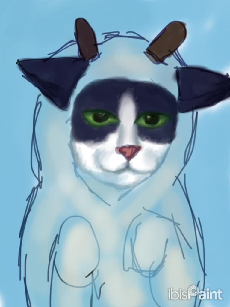 cow kitty speedpaint