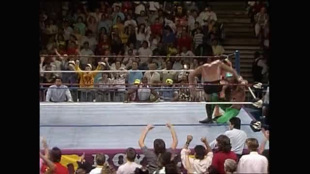 Royal Rumble 1990 - Royal Rumble Match (1)