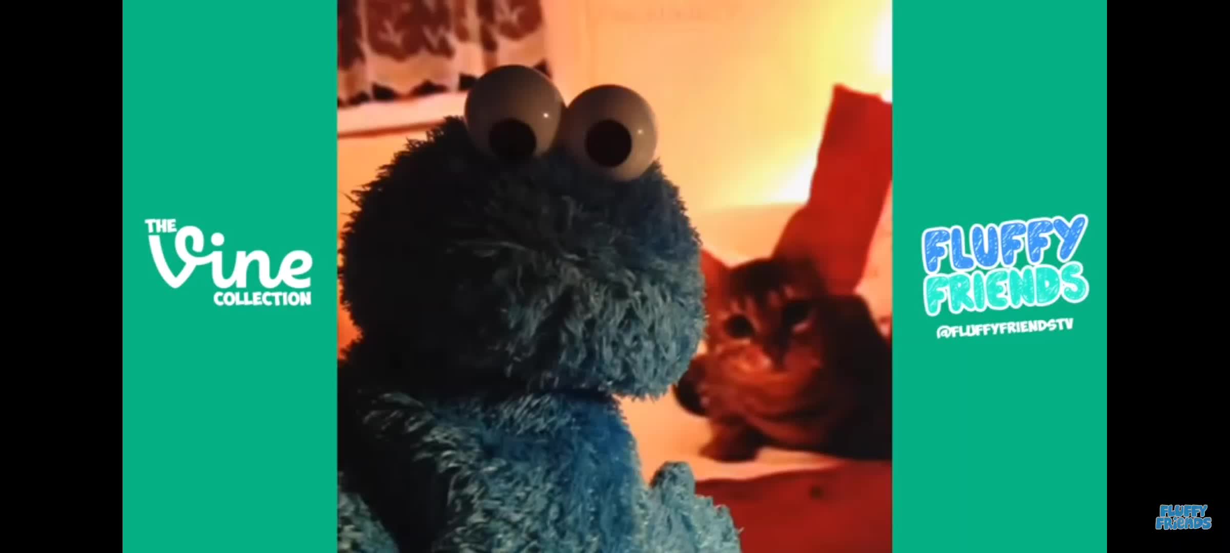 Random video:3