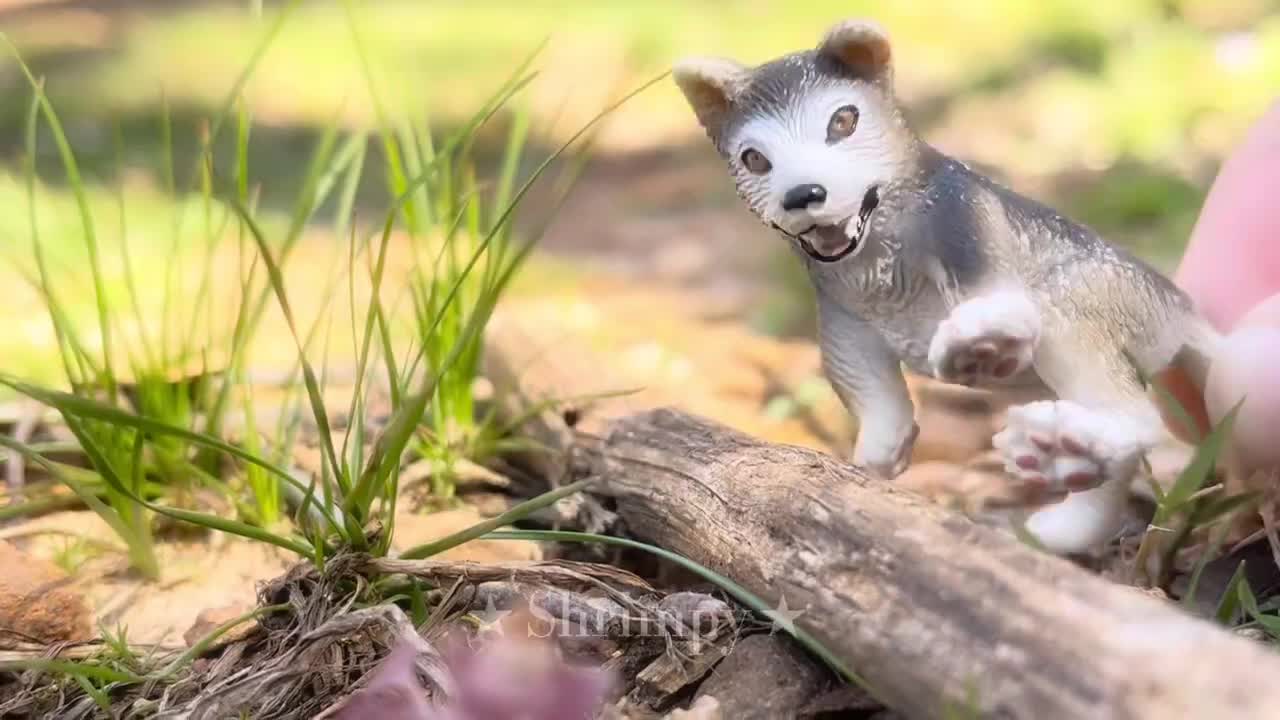 Sandy // Schleich wolf/dog MV