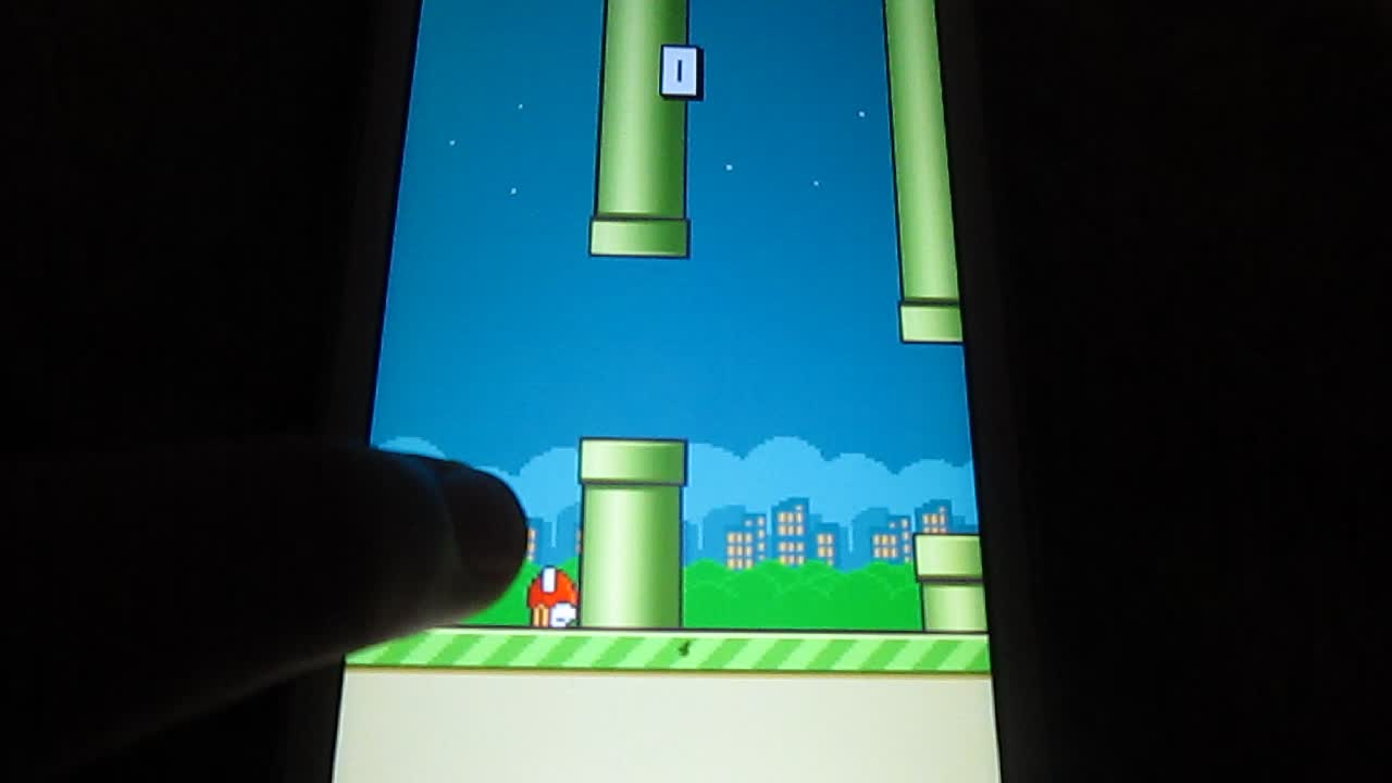 Flapp[y_bitd.MVI
