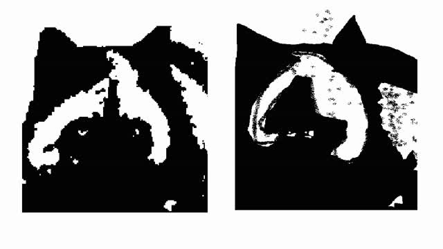 Speedpainting Foxsaw!