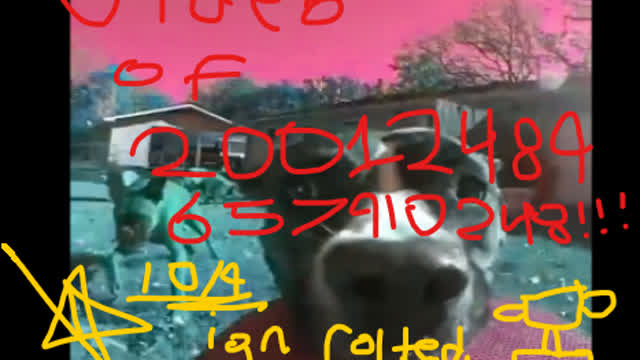 Pro Video Editing Skill 2009 Edition Educational Pro Video Editing Skill 2009 Edition Educational