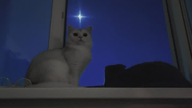 Skip & Potion - Prayer for Life