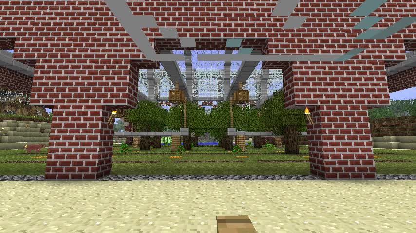 Tree Farm Timelapse Tree Farm Timelapse