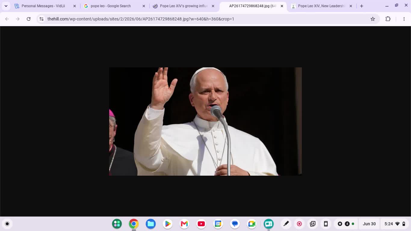 I can't stand Pope Leo 14th The Climate Change Responsibler. Voice Sound Like Socks Eating Lunatic!