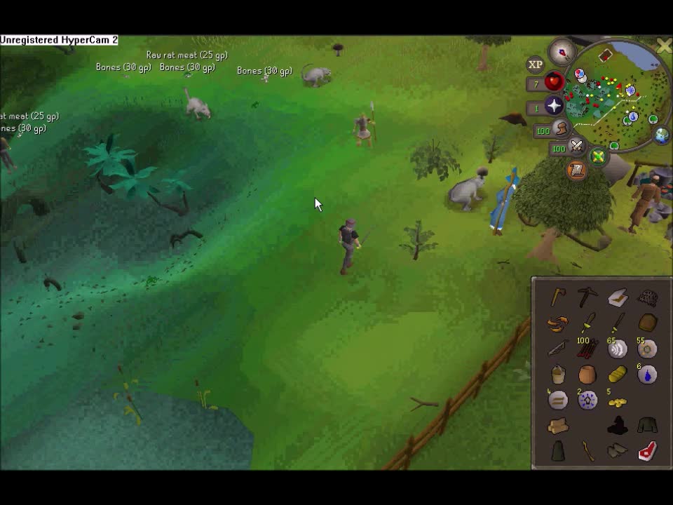 RuneScape - Swamp Secret