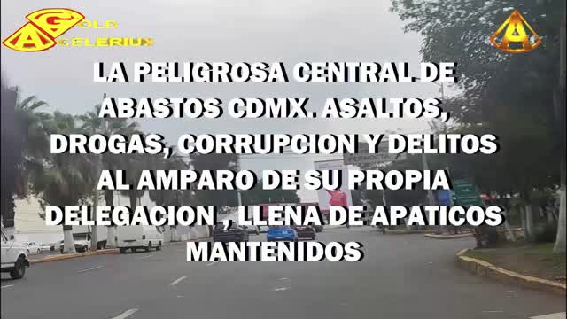 PODRIDA @CENTRALDEABASTOS CDMX, @GOLDACELERIUX