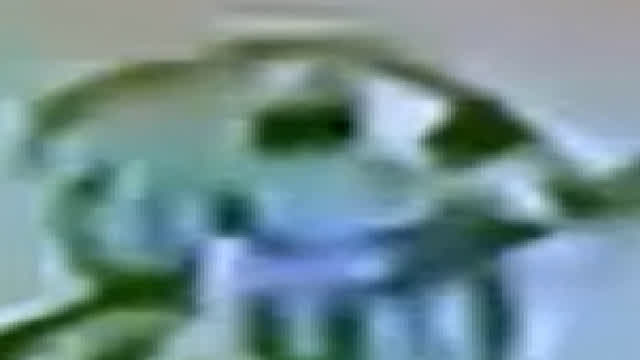 Refund The World but everytime a word is repeated it loops but everytime a word repeats it loops