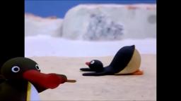 Pingu Pingu