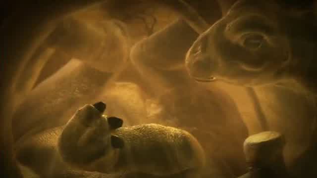 Dinosaur Planet - E3 - Alpha's Egg (1/2)