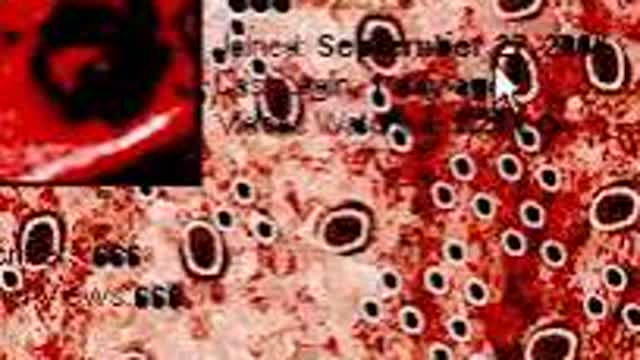 666666666666666666666666666666666666666666