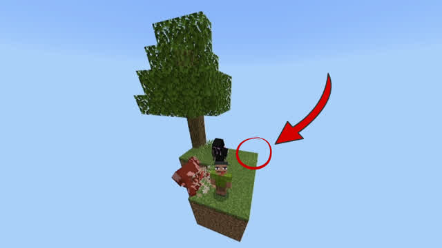 Skyblock with friends is SO FUNNY!!! Skyblock with friends is SO FUNNY!!!