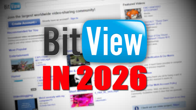 BitView in 2026