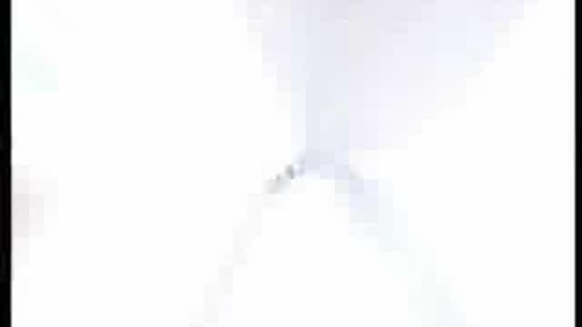 Der Superdackel Der Superdackel