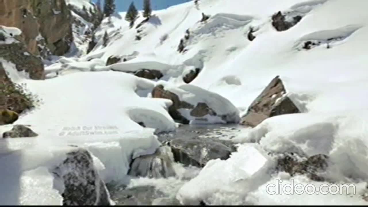 Adult Swim Winter 2025-26 Bumps