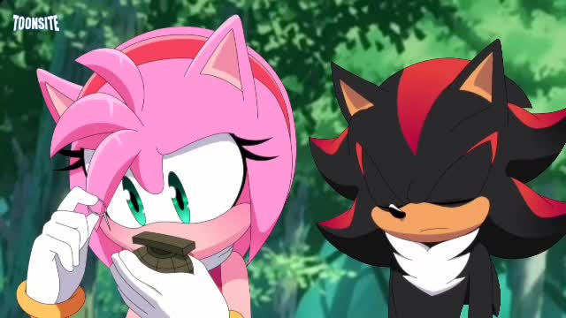Shadow teach to Amy how to using the grenade