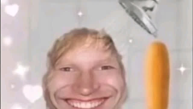 Dolly vs shadow milk cookie cat