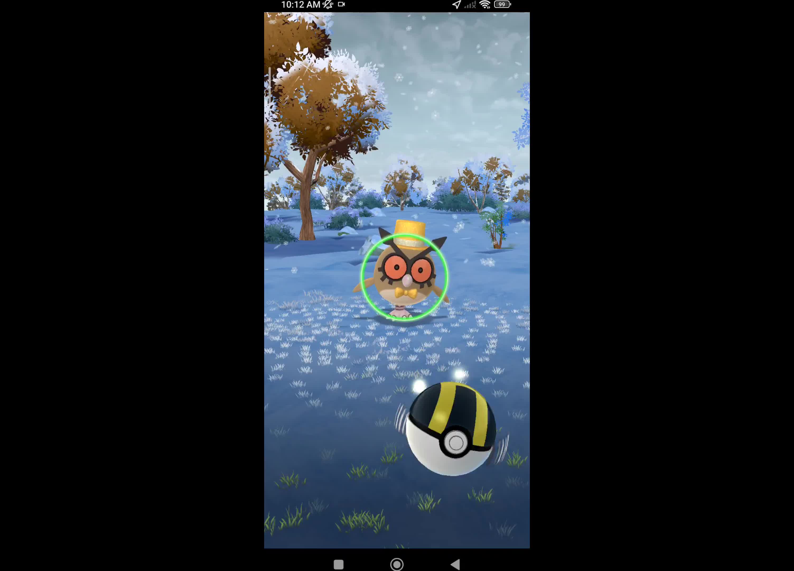 Pokémon GO-New Years Hat Hoothoot