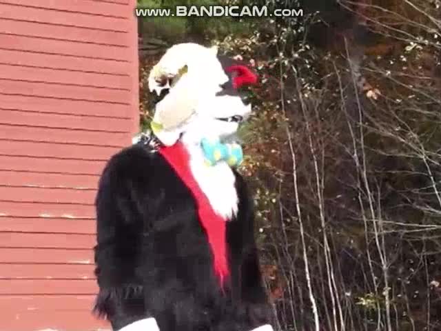 Greifer Gets Pied.
