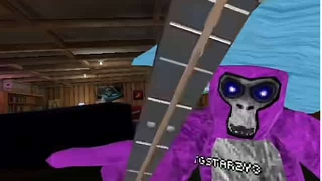 Seedeng intro