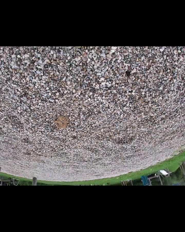 Hardening training – Peter Siegfried Krug