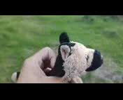 Tengan_Qidado_con_este_Artista_Kllejero.3gp