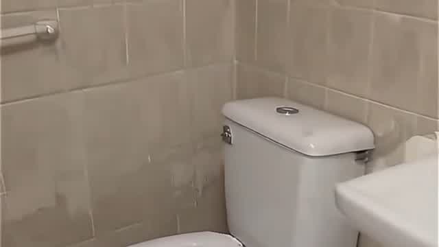 Master shake vamos al baño