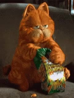 Garfield is eating