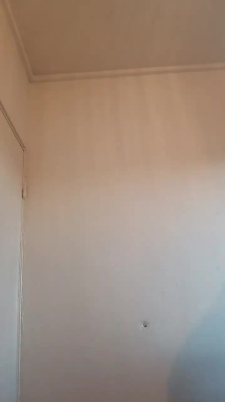 Feliz cumpleaños Tokoyami (30 de octubre 2024)