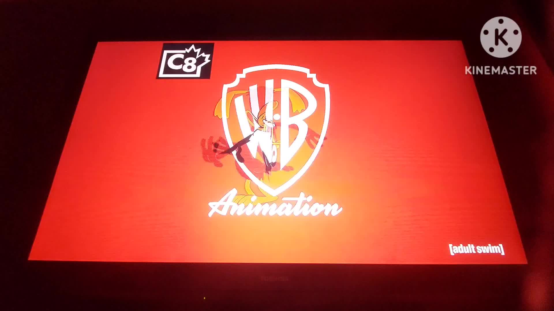 Opening and closing to Teen Titans GO! see space jam on [adult swim] (real recording)