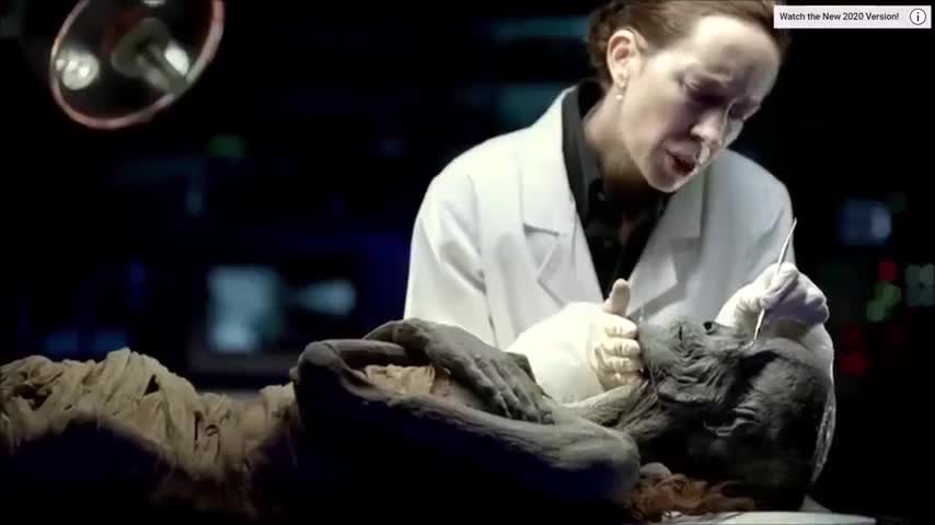 white women love black men even in discovery channel commercials 💪🏿