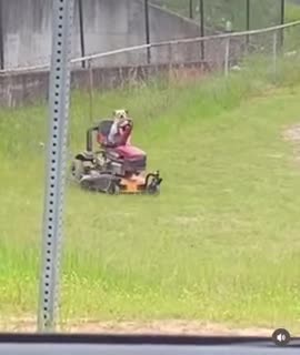 dog mowing the lawn