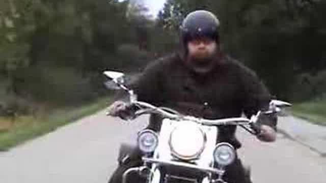 Born to be GummibÀr Born to be GummibÀr