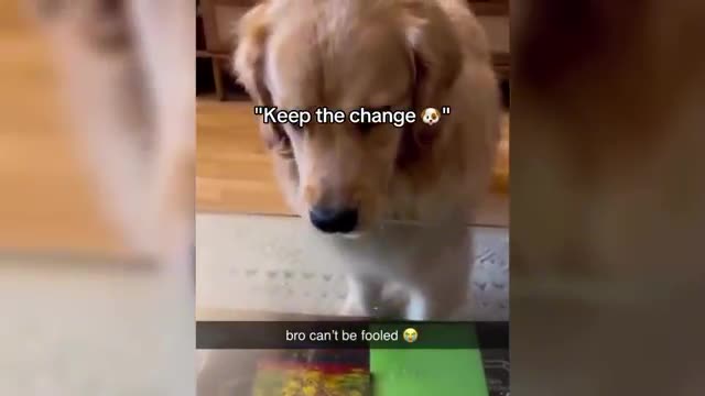 if you laugh, you restart meme