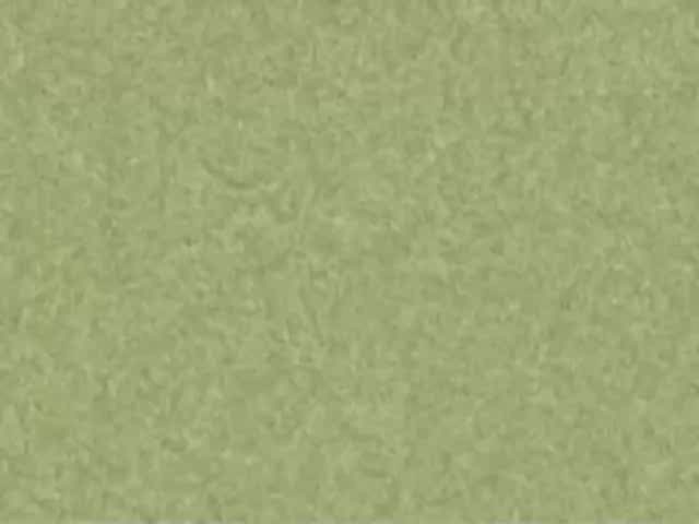 Klasky Csupo in G-Major