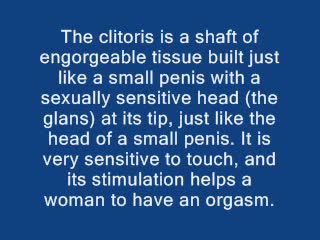 THE CLITORIS