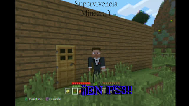Minecraft survival (Ps3) #1