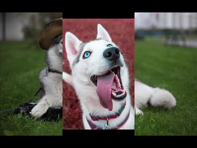 ♥Look and smile!♥:)