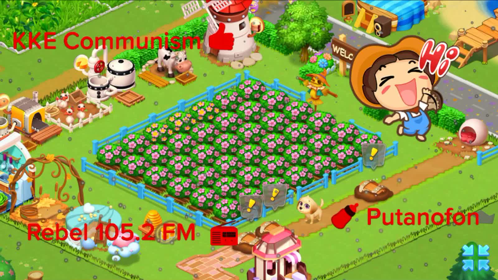 Afternoon relaxing on the Home 🏠