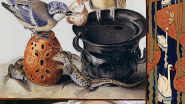 animales zyonnnnnnnnn