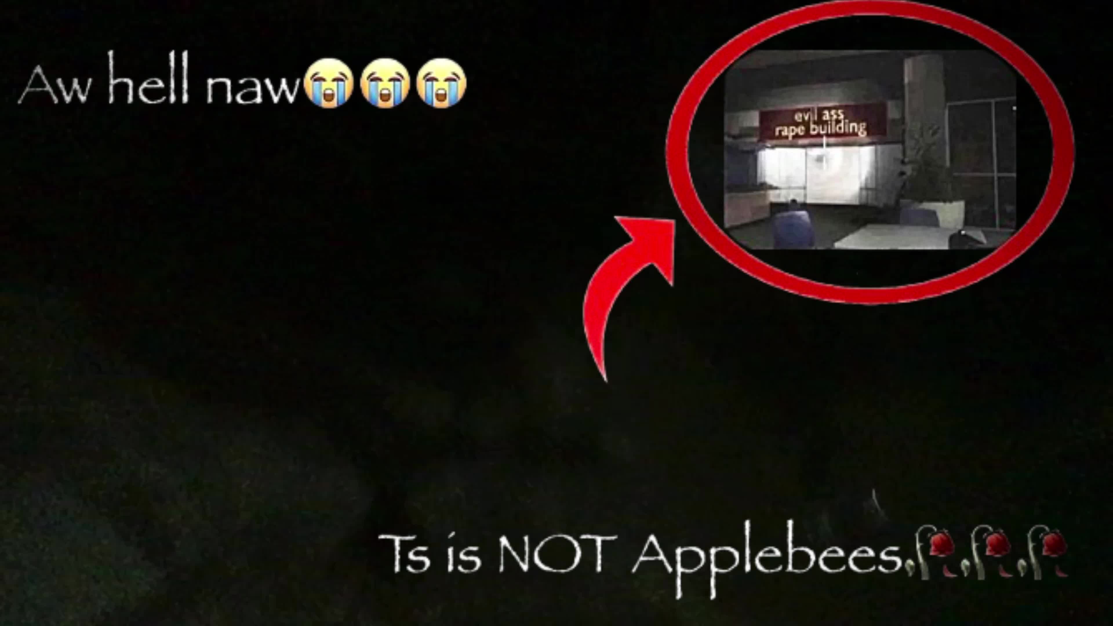 Pussy explores SCARY TUNNELS (ADHD ver)