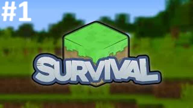 minecraft survival #1
